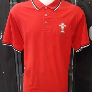POLO GALLES MANICA CORTA