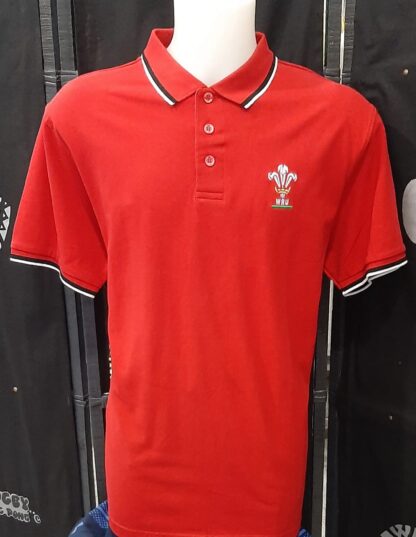 POLO GALLES MANICA CORTA