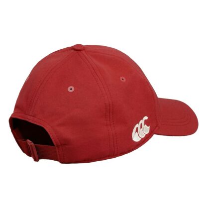 British & Irish Lions cap senior - immagine 2