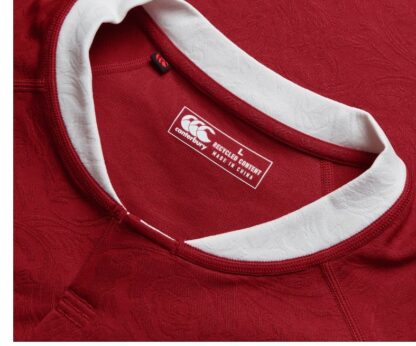 British & Irish Lions replica gioco - immagine 4