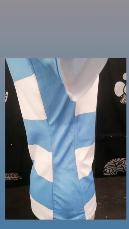 ARGENTINA HOME replica maglia gioco - immagine 3