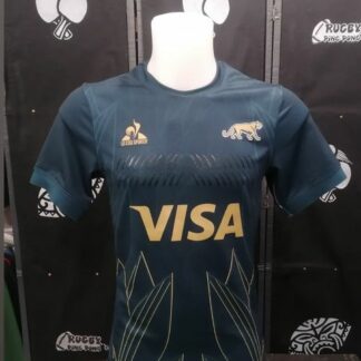ARGENTINA AWAY replica maglia gioco